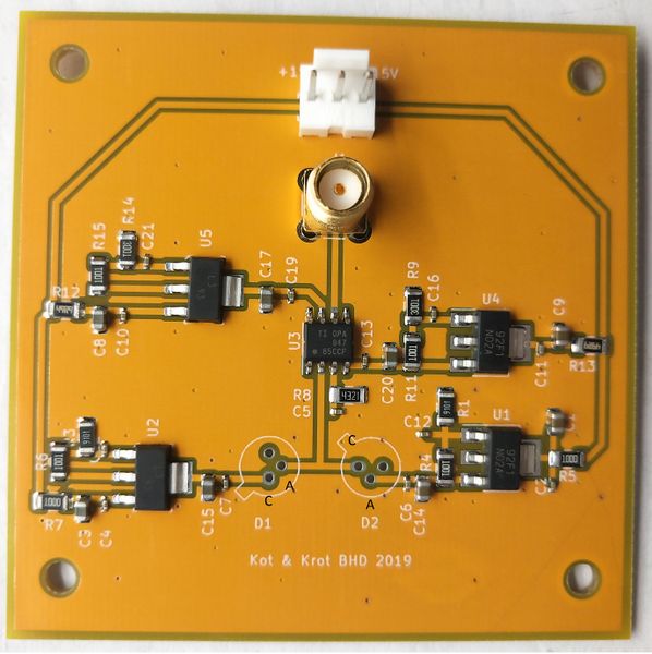 File:Homo1 photo 20190824.jpg